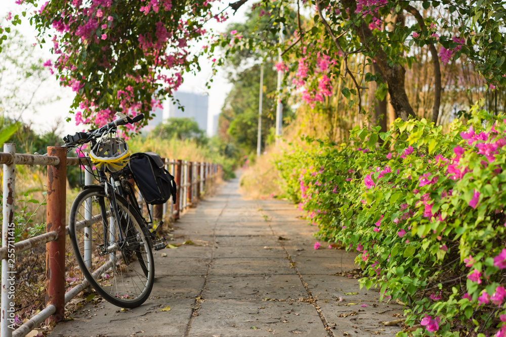 Fototapeta premium bike under paper flower tree
