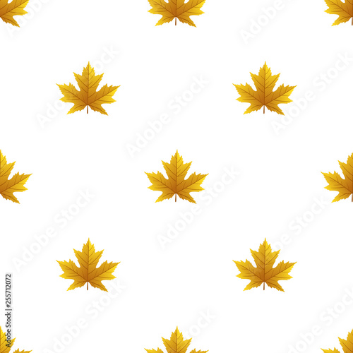 Seamless pattern with autumn leaves on white background  for any occasion