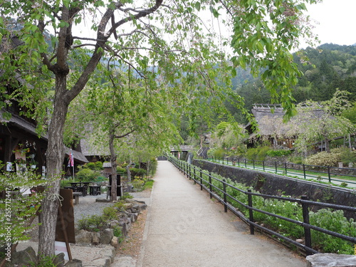 西湖　いこいの里にて