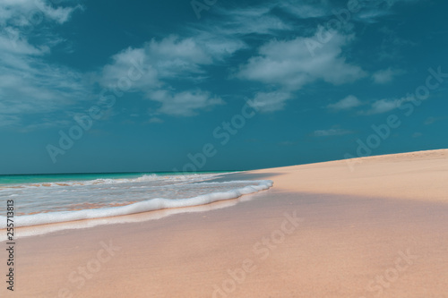 Fototapeta Naklejka Na Ścianę i Meble -  calm waves on the beach 