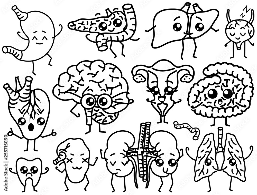 Cute organs. Happy human, Set of smiling characters. Vector pins, cartoon kawaii icons. Healthy heart, stomach, liver, bladder, uterus organ, lungs, kidneys, gallbladder, intestine, pancreas, brain.