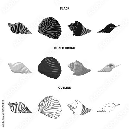 Vector illustration of animal and decoration sign. Collection of animal and ocean stock symbol for web.