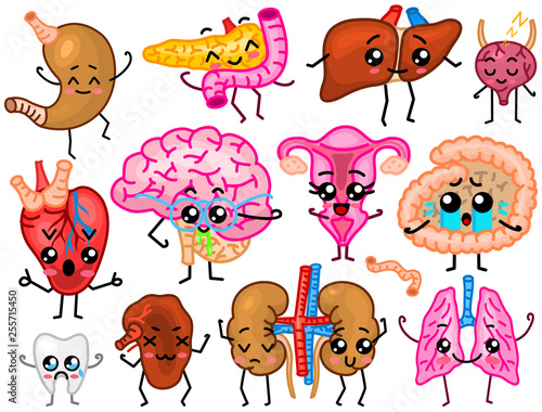 Cute organs. Happy human, Set of smiling characters. Vector pins, cartoon kawaii icons. Healthy heart, stomach, liver, bladder, uterus organ, lungs, kidneys, gallbladder, intestine, pancreas, brain.