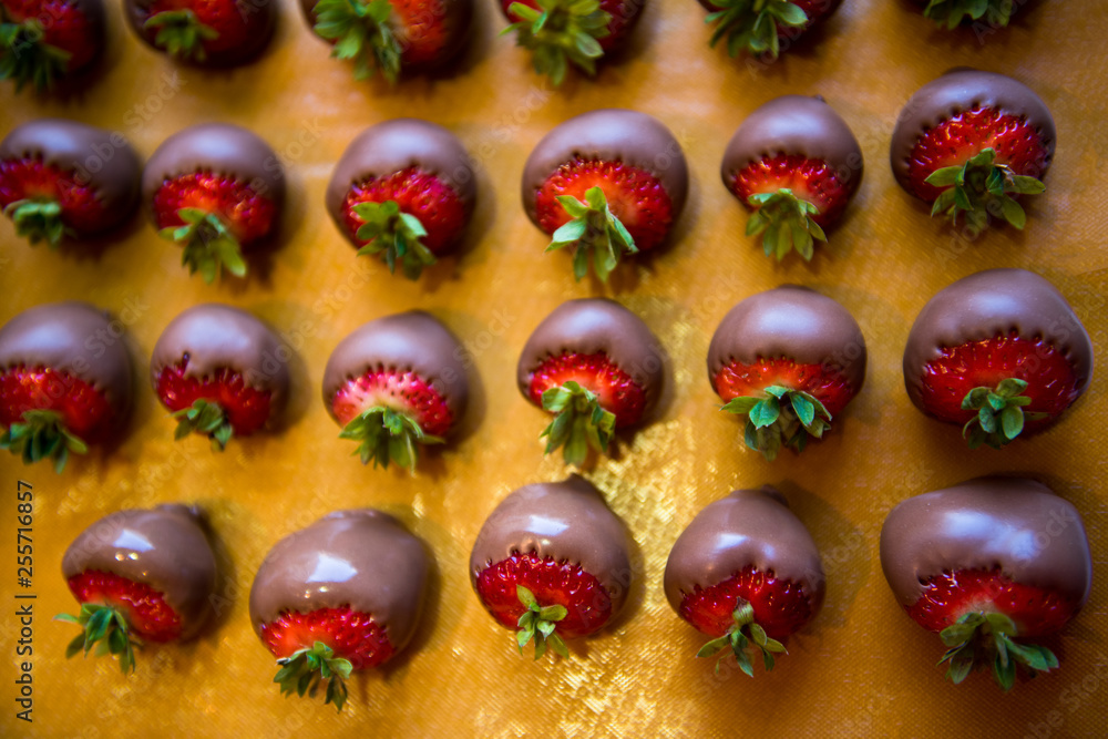 Obraz premium dark chocolate covered strawberries