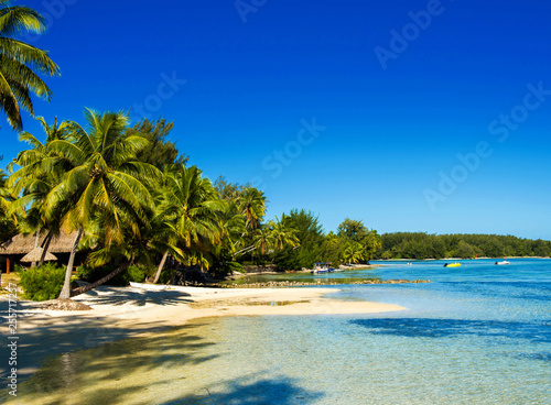 View of the sandy beach  Moorea island  French Polynesia. Copy space for text.