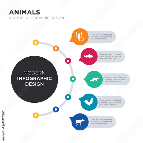 modern business infographic illustration design contains roe, rooster, sable, salmon, scorpion simple vector icons. set of 5 isolated filled icons. editable sign and symbols