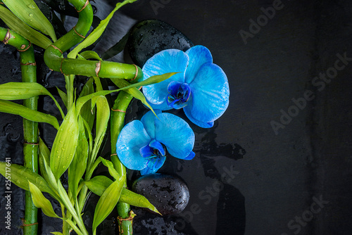 Beautiful spa composition: blue orchid flowers and green bamboo stems on the wet black massage stones and slate background