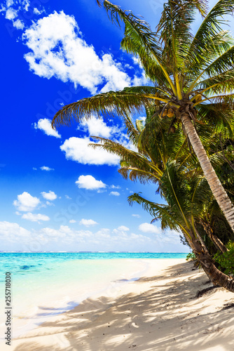 Fototapeta Naklejka Na Ścianę i Meble -  View of the sandy beach, Cook Islands, South Pacific. Copy space for text. Vertical.