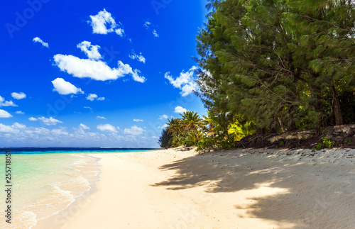 Fototapeta Naklejka Na Ścianę i Meble -  View of the sandy beach, Cook Islands, South Pacific. Copy space for text.