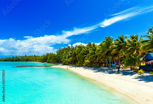 Stunning tropical Aitutaki island with palm trees  white sand  turquoise ocean water and blue sky at Cook Islands  South Pacific. Copy space for text.