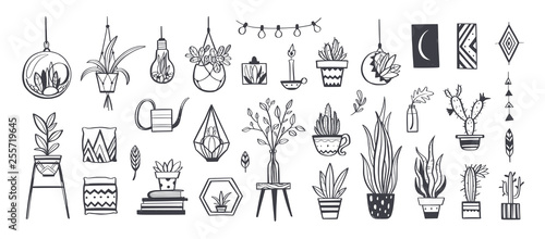 Home decor and House plants vector hand drawn set. Home decorations and interior design elements.Isolated boho and scandinavian cartoon sketches