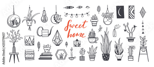 Home decor and House plants vector hand drawn set. Home decorations and interior design elements.Isolated boho and scandinavian cartoon sketches