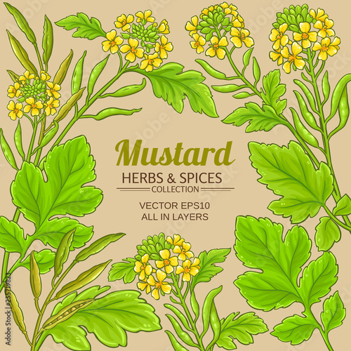 mustard vector frame