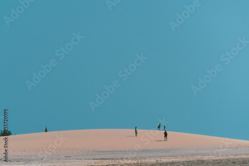 people walking in the desert