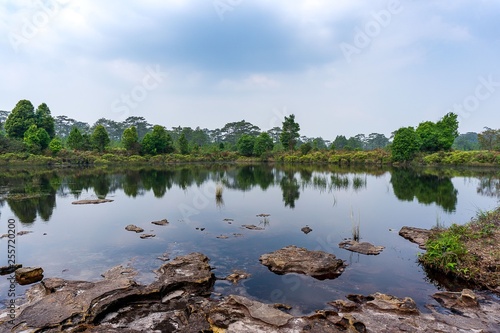 Small pond in national park nature background