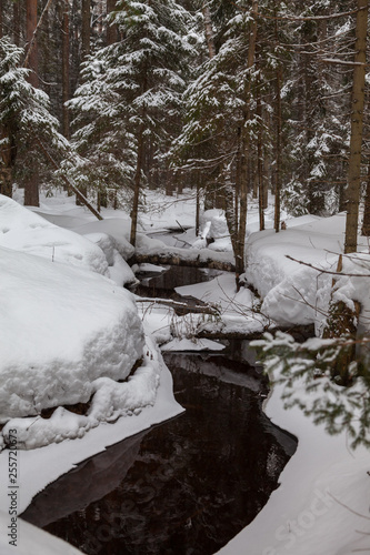 Stream in the snow-covered forest in early spring