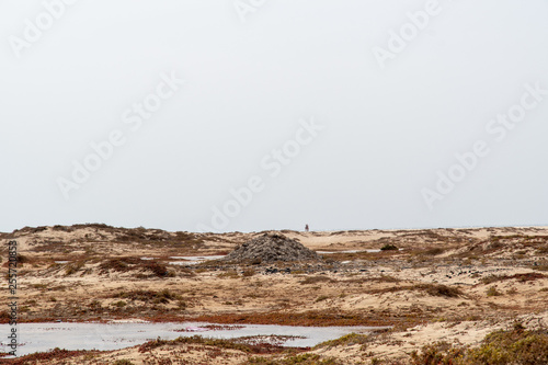 desert scene at Sal - Cape Verde