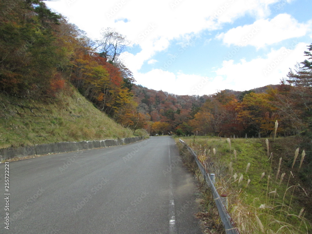 紅葉の山道