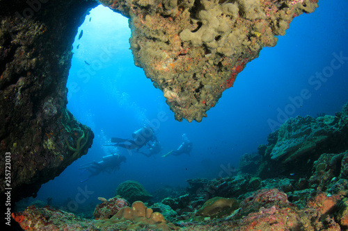 Scuba dive coral reef 