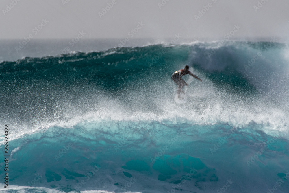 surfer against a deep blue wave 