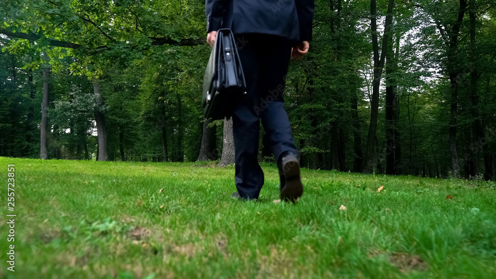 Man with briefcase walking on green grass in park, way home, legs close-up Man with briefcase walking on green grass in park, way home, legs close-up