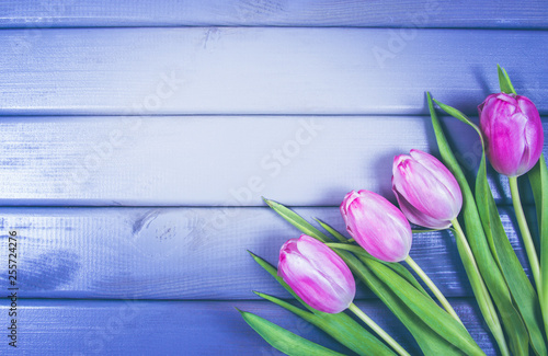 A bouquet of pink tulips with a frame for inscription.
