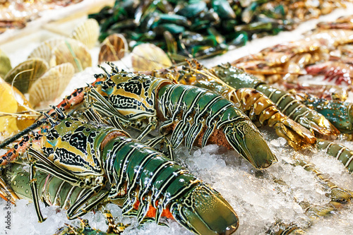 Fresh big lobster and shrimps on seafood market.