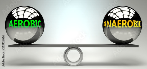Aerobic and anaerobic balance, harmony and relation pictured as two equal balls with  text words showing abstract idea and symmetry between two symbols and real life concepts, 3d illustration