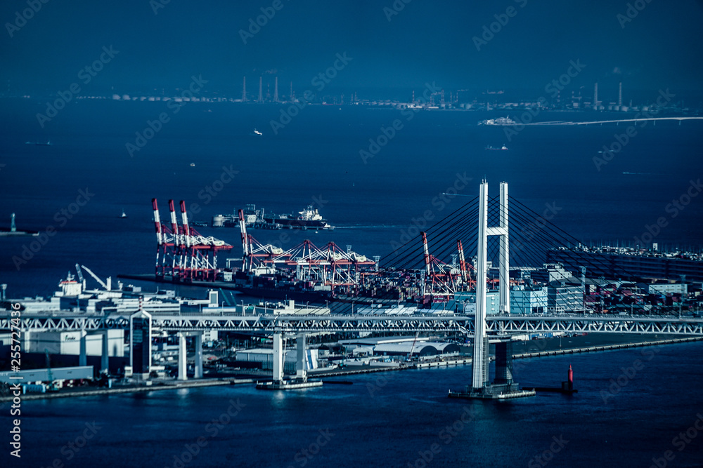 Fototapeta premium 横浜ランドマークタワーから見える街並み