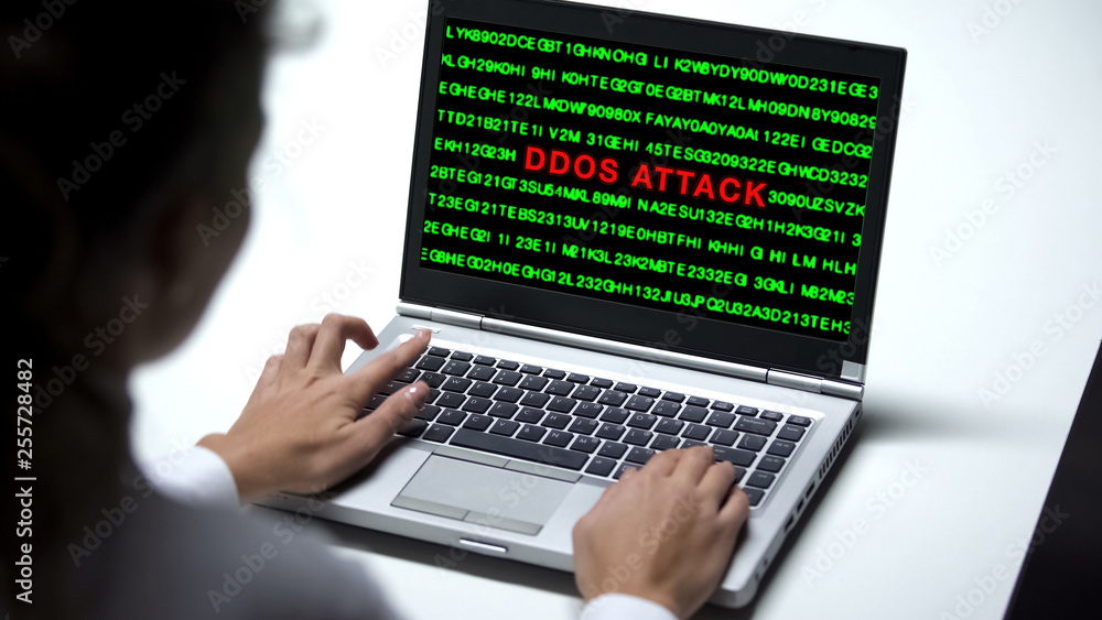 Ddos attack on laptop monitor, woman working in office, cybercrime protection Ddos attack on laptop monitor, woman working in office, cybercrime protection