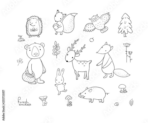 Animals of the forest. Set with cute cartoon bears, fox, hare and squirrel, owl and deer. Design for children - Vector