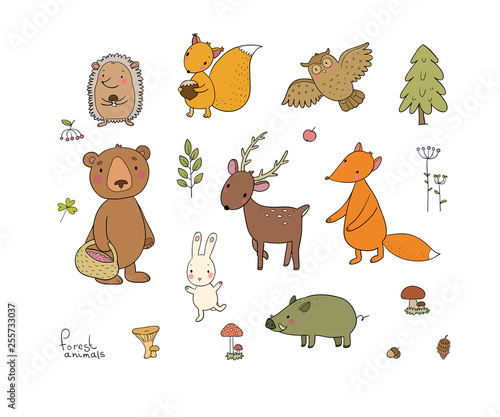 Animals of the forest. Set with cute cartoon bears, fox, hare and squirrel, owl and deer. Design for children - Vector