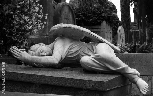 Fallen Angel photo
