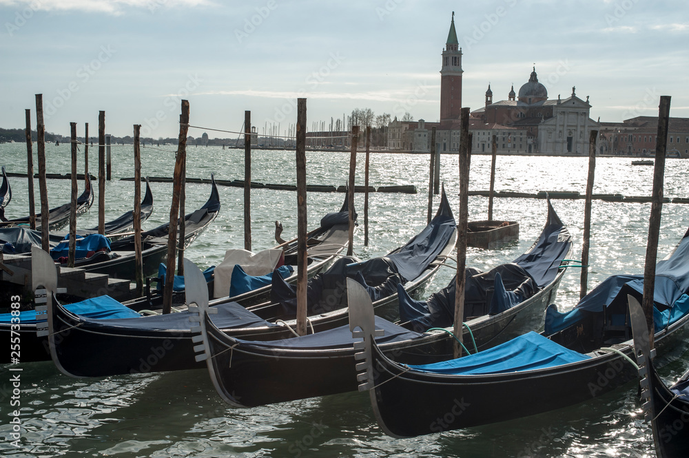 Gondolas moored at Piazza San Marco in Venice