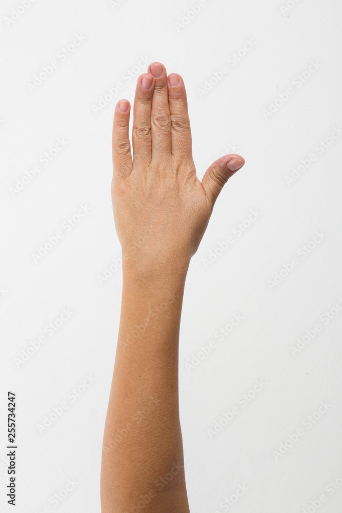lady hand gestures - white background lady hand gestures - white background