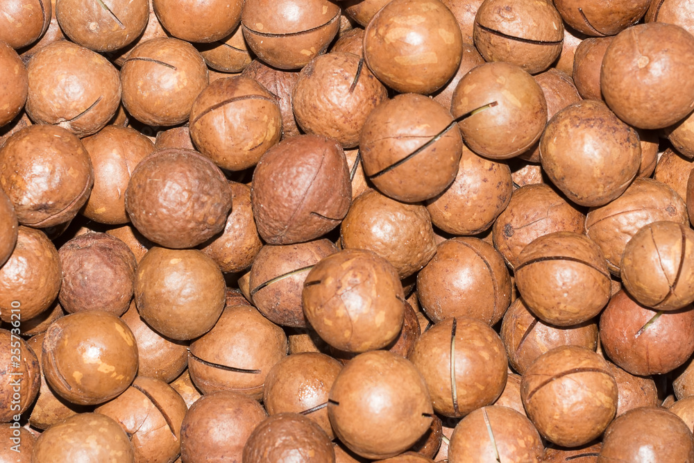 Macadamia nuts, on the counter of the eastern market Macadamia nuts, on the counter of the eastern market