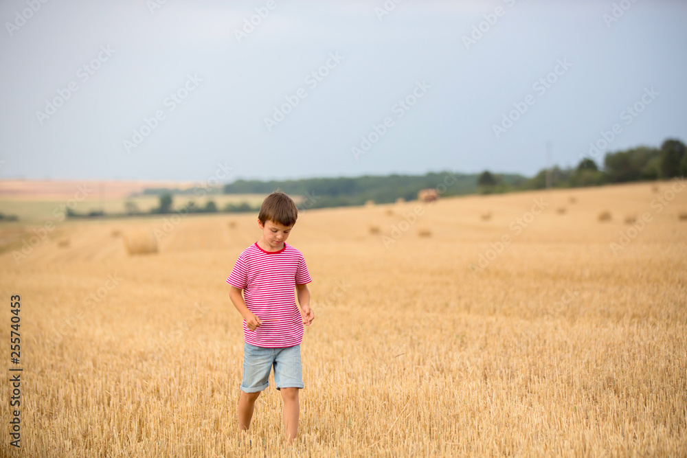 Cute preschool boy, sitting on hastack in field on a cloudy day