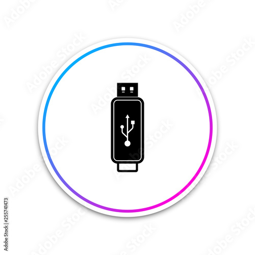 USB flash drive icon isolated on white background. Circle white button. Vector Illustration