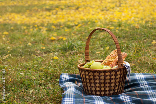 Picnic basket with food on a blue plaid  against the background of greenery and foliage. Baking with fruit inside the basket  the author s processing.