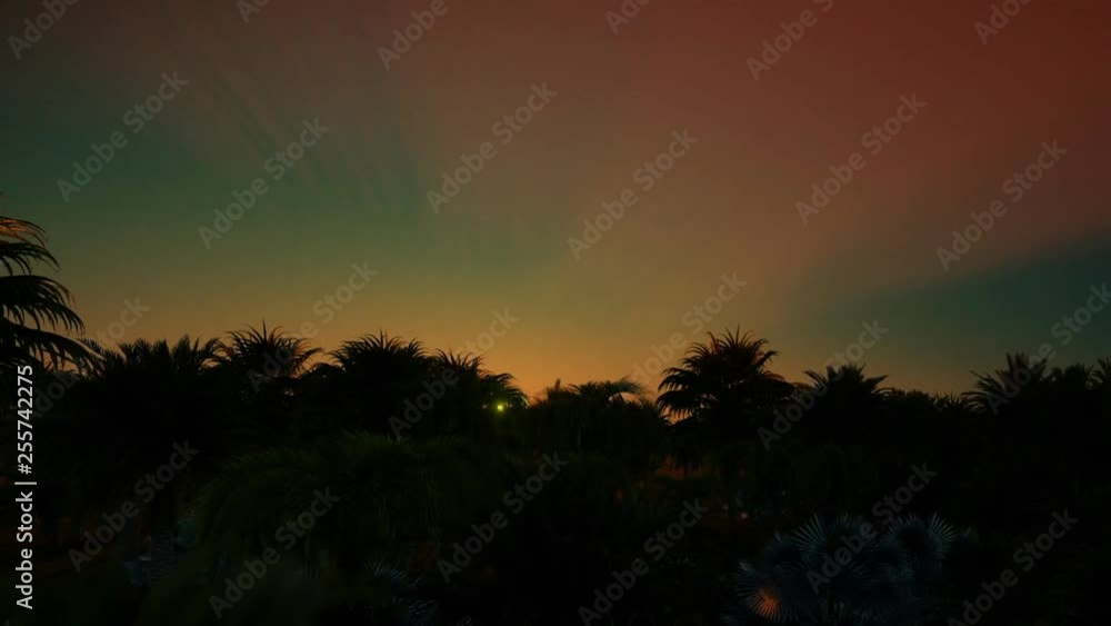 Beautiful sun rising slowly over palm tree forest Beautiful sun rising slowly over palm tree forest