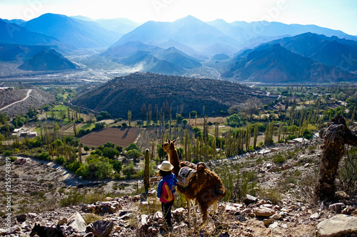 Girl standing with a lama at the quebrada de Humahuaca in the province of Jujuy, Argentina