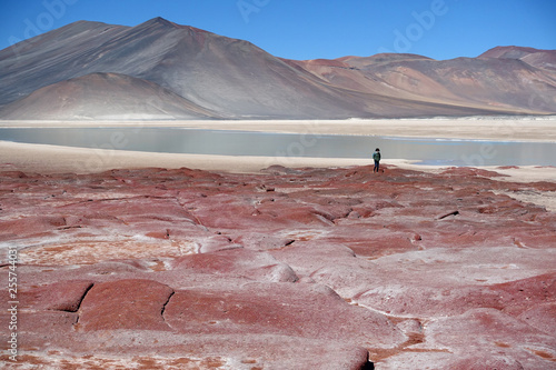 Obraz na płótnie girl walking at piedras rojas on the altiplano in Chile close to San Pedro de Atacama