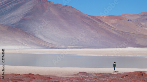 Obraz na płótnie girl walking at piedras rojas on the altiplano in Chile close to San Pedro de Atacama