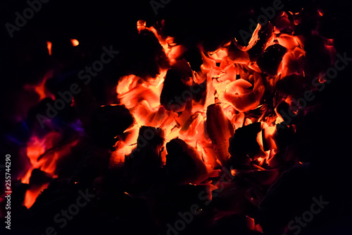 Burning hot coals in the grill. © yurisuslov