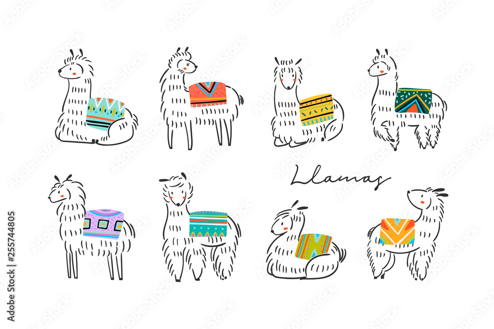 Graphic sketchy llamas in various poses with colorful carpets on back. Hand drawn trendy vector illustration. All elements are isolated - obrazy, fototapety, plakaty 