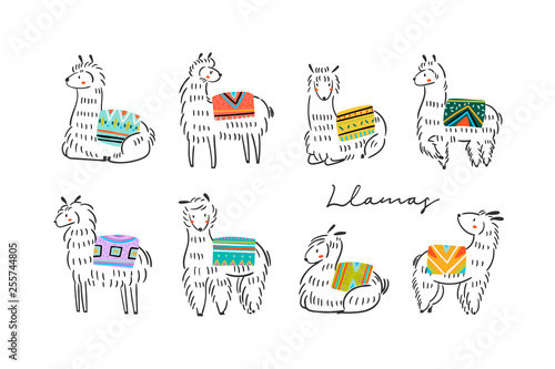 Graphic sketchy llamas in various poses with colorful carpets on back. Hand drawn trendy vector illustration. All elements are isolated