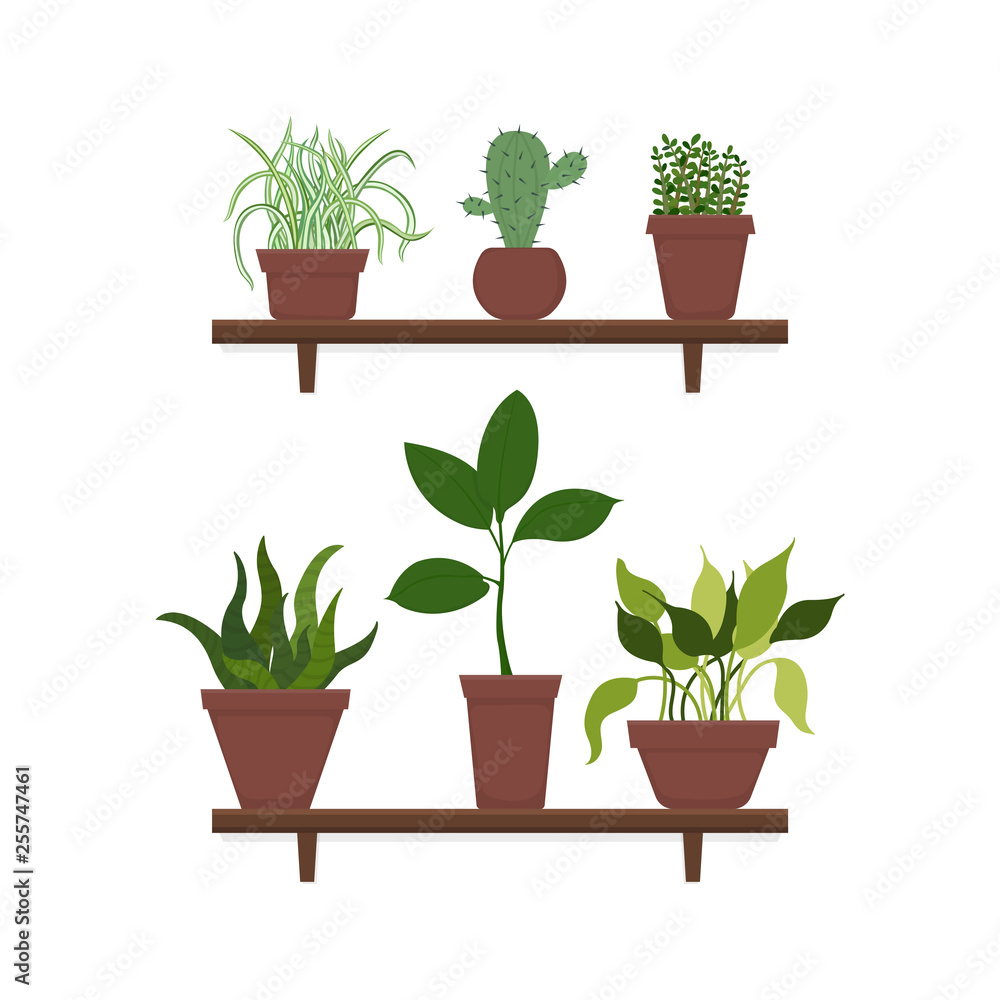 Potted plants set. Houseplants on a white background. Flowers in pots are on the shelves. Flat style vector illustration. Potted plants set. Houseplants on a white background. Flowers in pots are on the shelves. Flat style vector illustration.