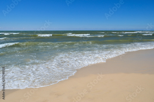 Sea waves wash the beach against a blue sky. Landscape on a wild beach. The sea in the summer.