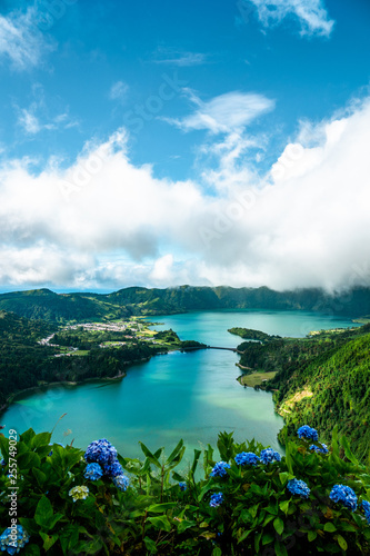 View over the crater lake at sete cidades on Sao Miguel island, with hydrangeas in the front.