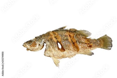 deep fried salty bass fish with garlic on white background